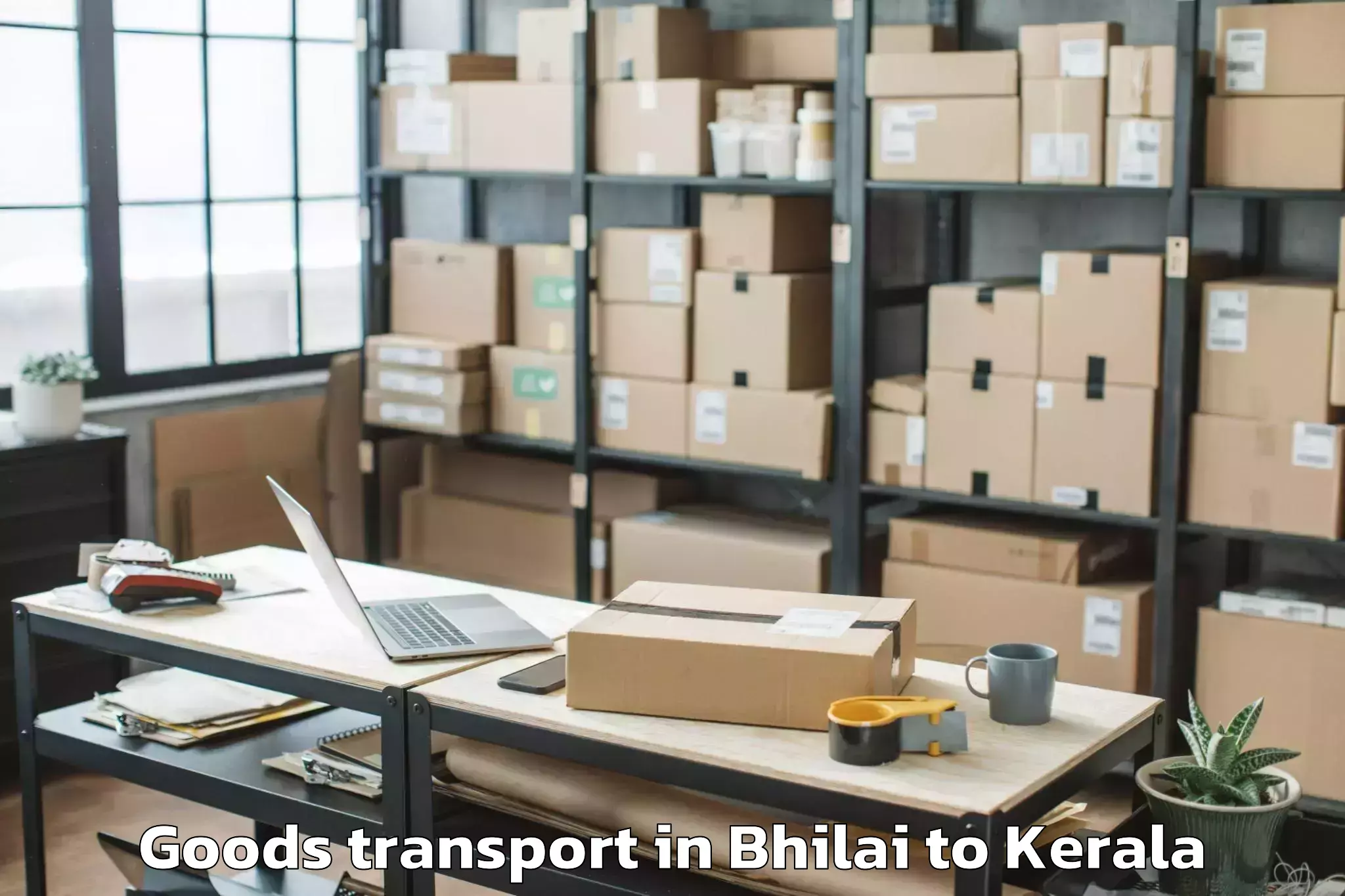 Top Bhilai to Pandanad Part Goods Transport Available